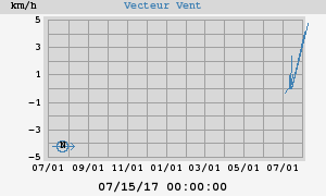 Wind Vector